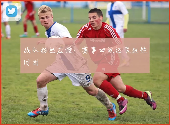 战队粉丝应援,赛事回放记录狂热时刻