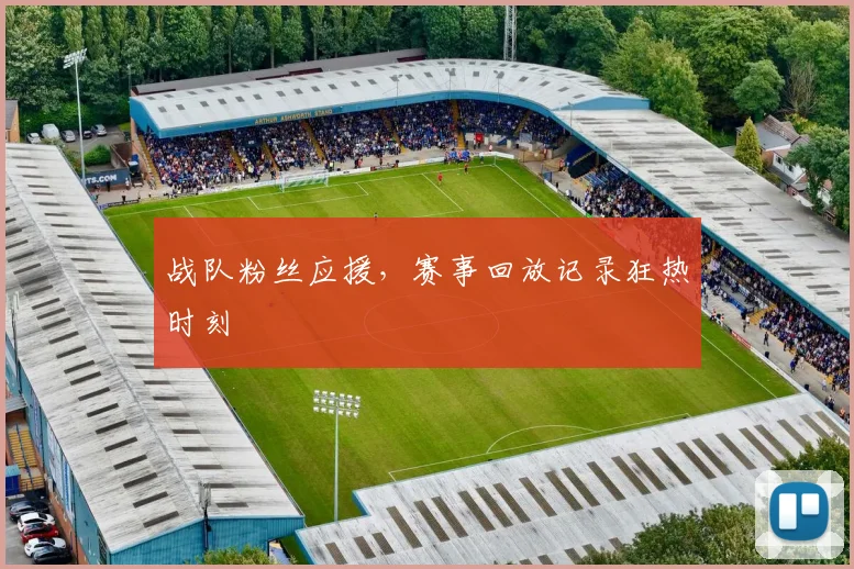 战队粉丝应援,赛事回放记录狂热时刻